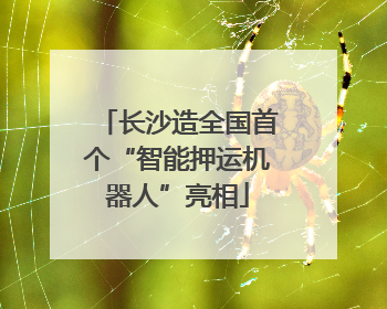 长沙造全国首个“智能押运机器人”亮相