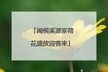 闽侯溪源寨荷花盛放迎客来