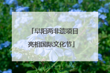 阜阳两非遗项目亮相国际文化节