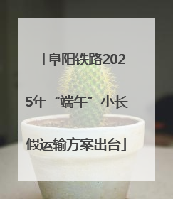 阜阳铁路2025年“端午”小长假运输方案出台