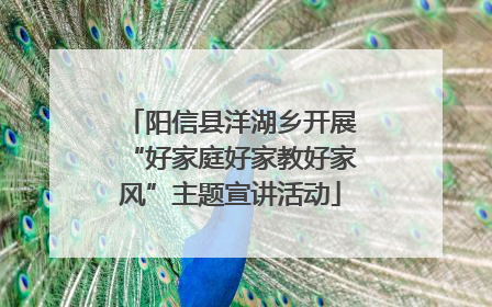 阳信县洋湖乡开展“好家庭好家教好家风”主题宣讲活动