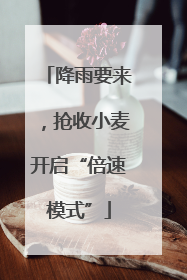 降雨要来，抢收小麦开启“倍速模式”