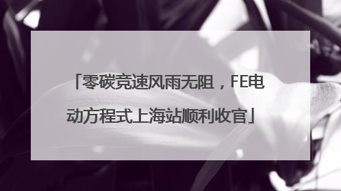 零碳竞速风雨无阻，FE电动方程式上海站顺利收官