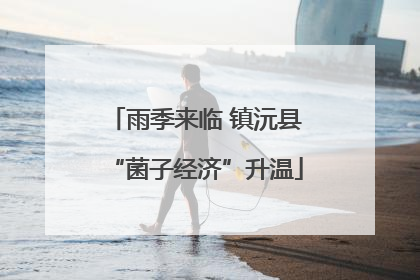雨季来临 镇沅县“菌子经济”升温