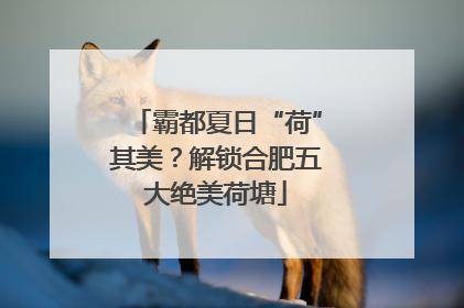 霸都夏日“荷”其美？解锁合肥五大绝美荷塘