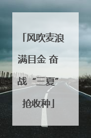 风吹麦浪满目金 奋战“三夏”抢收种