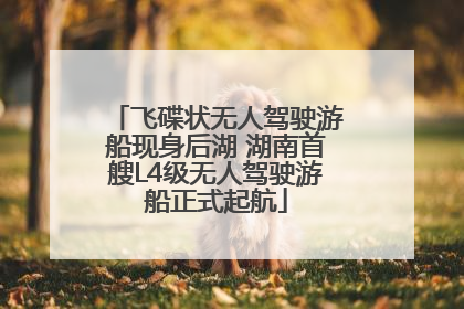 飞碟状无人驾驶游船现身后湖 湖南首艘L4级无人驾驶游船正式起航