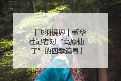 飞羽镜界｜新华社记者对“高原仙子”的四季追寻