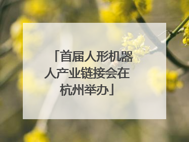 首届人形机器人产业链接会在杭州举办