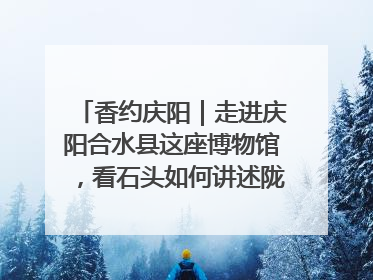 香约庆阳｜走进庆阳合水县这座博物馆，看石头如何讲述陇东千年历史