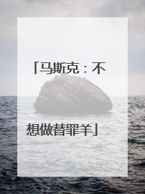 马斯克：不想做替罪羊