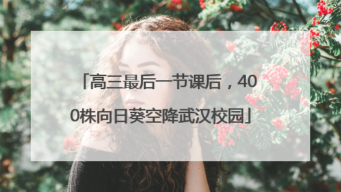 高三最后一节课后，400株向日葵空降武汉校园