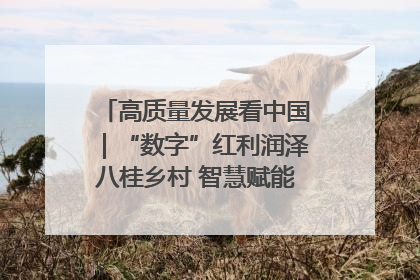 高质量发展看中国｜“数字”红利润泽八桂乡村 智慧赋能绘就振兴画卷