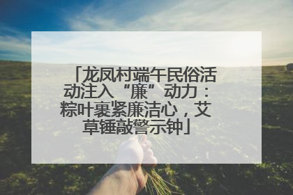 龙凤村端午民俗活动注入“廉”动力：粽叶裹紧廉洁心，艾草锤敲警示钟