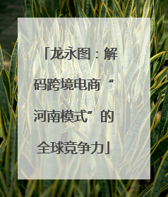 龙永图：解码跨境电商“河南模式”的全球竞争力