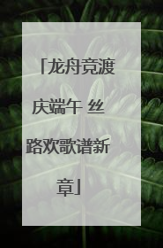 龙舟竞渡庆端午 丝路欢歌谱新章
