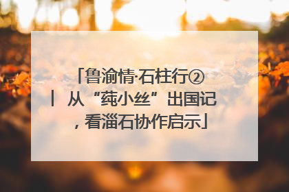 鲁渝情·石柱行② ︳从“莼小丝”出国记，看淄石协作启示