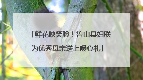 鲜花映笑脸！鲁山县妇联为优秀母亲送上暖心礼