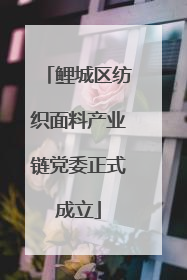 鲤城区纺织面料产业链党委正式成立