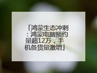 鸿蒙生态冲刺：鸿蒙电脑预约量超12万，手机备货量激增
