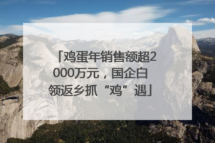 鸡蛋年销售额超2000万元，国企白领返乡抓“鸡”遇