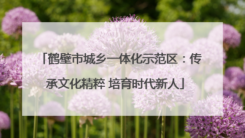 鹤壁市城乡一体化示范区：传承文化精粹 培育时代新人