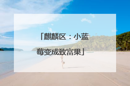 麒麟区：小蓝莓变成致富果