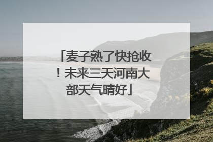 麦子熟了快抢收！未来三天河南大部天气晴好
