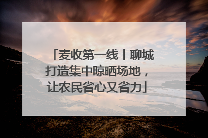 麦收第一线丨聊城打造集中晾晒场地，让农民省心又省力