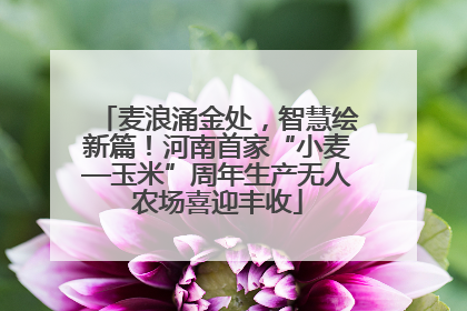 麦浪涌金处，智慧绘新篇！河南首家“小麦—玉米”周年生产无人农场喜迎丰收