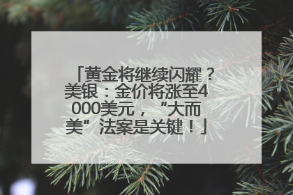 黄金将继续闪耀？美银：金价将涨至4000美元，“大而美”法案是关键！