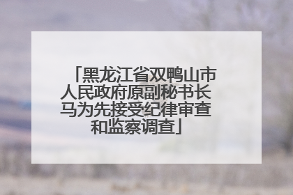 黑龙江省双鸭山市人民政府原副秘书长马为先接受纪律审查和监察调查