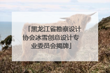 黑龙江省勘察设计协会冰雪创意设计专业委员会揭牌
