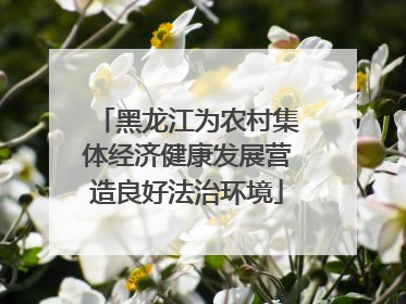 黑龙江为农村集体经济健康发展营造良好法治环境