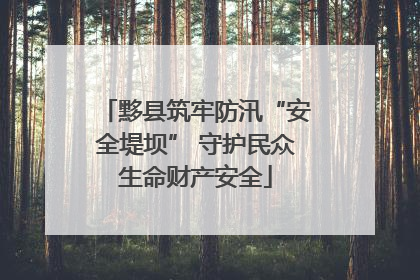 黟县筑牢防汛“安全堤坝” 守护民众生命财产安全