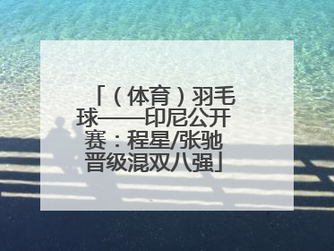 （体育）羽毛球——印尼公开赛：程星/张驰晋级混双八强