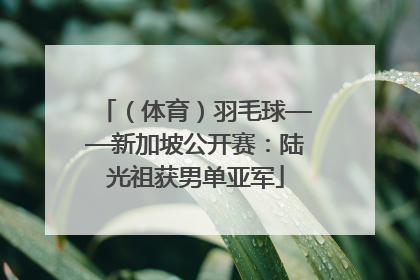 （体育）羽毛球——新加坡公开赛：陆光祖获男单亚军
