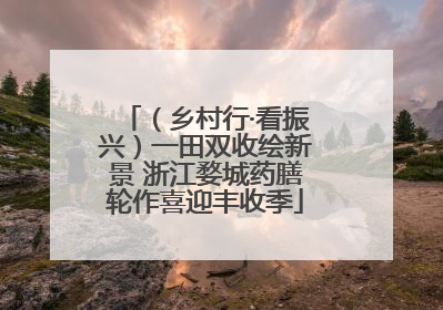 （乡村行·看振兴）一田双收绘新景 浙江婺城药膳轮作喜迎丰收季