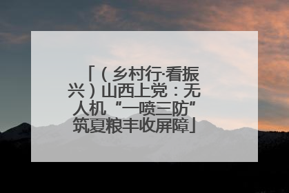 （乡村行·看振兴）山西上党：无人机“一喷三防”筑夏粮丰收屏障
