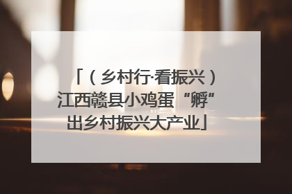 （乡村行·看振兴）江西赣县小鸡蛋“孵”出乡村振兴大产业