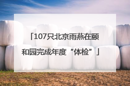 107只北京雨燕在颐和园完成年度“体检”