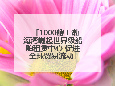 1000艘！渤海湾崛起世界级船舶租赁中心 促进全球贸易流动