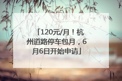 120元/月！杭州道路停车包月，6月6日开始申请