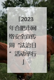 2023年合肥市网络安全宣传周“法治日”活动举行