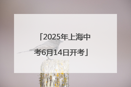 2025年上海中考6月14日开考
