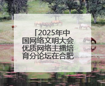 2025年中国网络文明大会优质网络主播培育分论坛在合肥举办