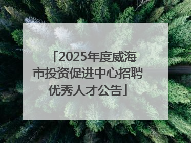 2025年度威海市投资促进中心招聘优秀人才公告