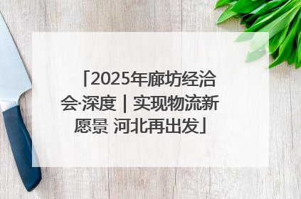 2025年廊坊经洽会·深度｜实现物流新愿景 河北再出发