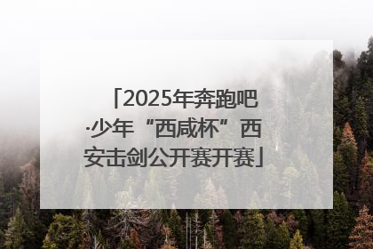 2025年奔跑吧·少年“西咸杯”西安击剑公开赛开赛