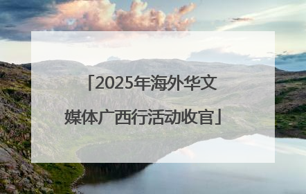 2025年海外华文媒体广西行活动收官